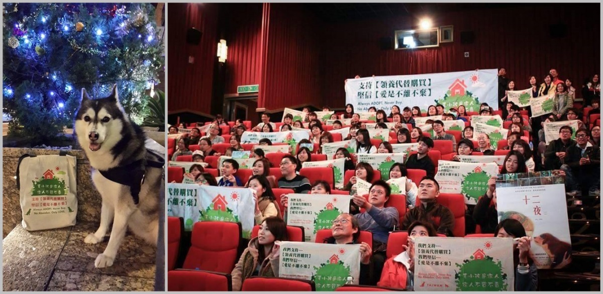 活動頁面上已經有很多飼主po出寵物的萌照參賽，劉偉蘋也讓自家寵物Richy擔綱#聖誕最有fu的示範模特兒，另外還有當時號召去電影院支持十二夜飄旗的#人數無敵多示範照。　　取自活動頁面