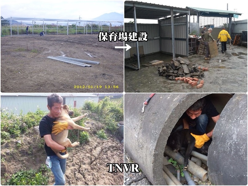 2012年時靠著2500位志工的力量一磚一瓦建設起為狗兒遮風避雨的家，王文評至今也時常為了TNVR而四處奔波。　取自社團法人中華親善動物保護協會