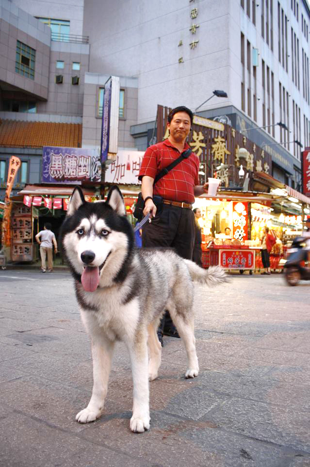 當初最反對養狗的爸爸,現在反而每天都跟大樂膩在一起。 Coral/提供