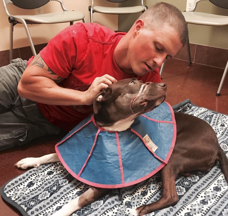 凱特琳的嘴巴上還有兩道相當深的傷痕，但牠心中的傷痕應該已經逐漸轉淡了！　取自Charleston Firefighter Calendar