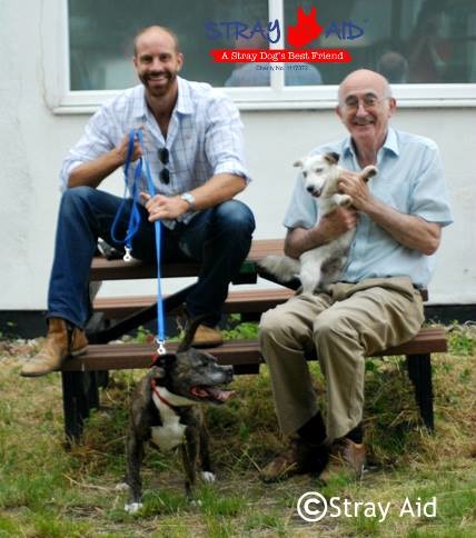 短時間內收容所就湧進許多爭相想要領養巴斯及格倫的申請人，很快地牠們就找到了新家！　取自Stray Aid