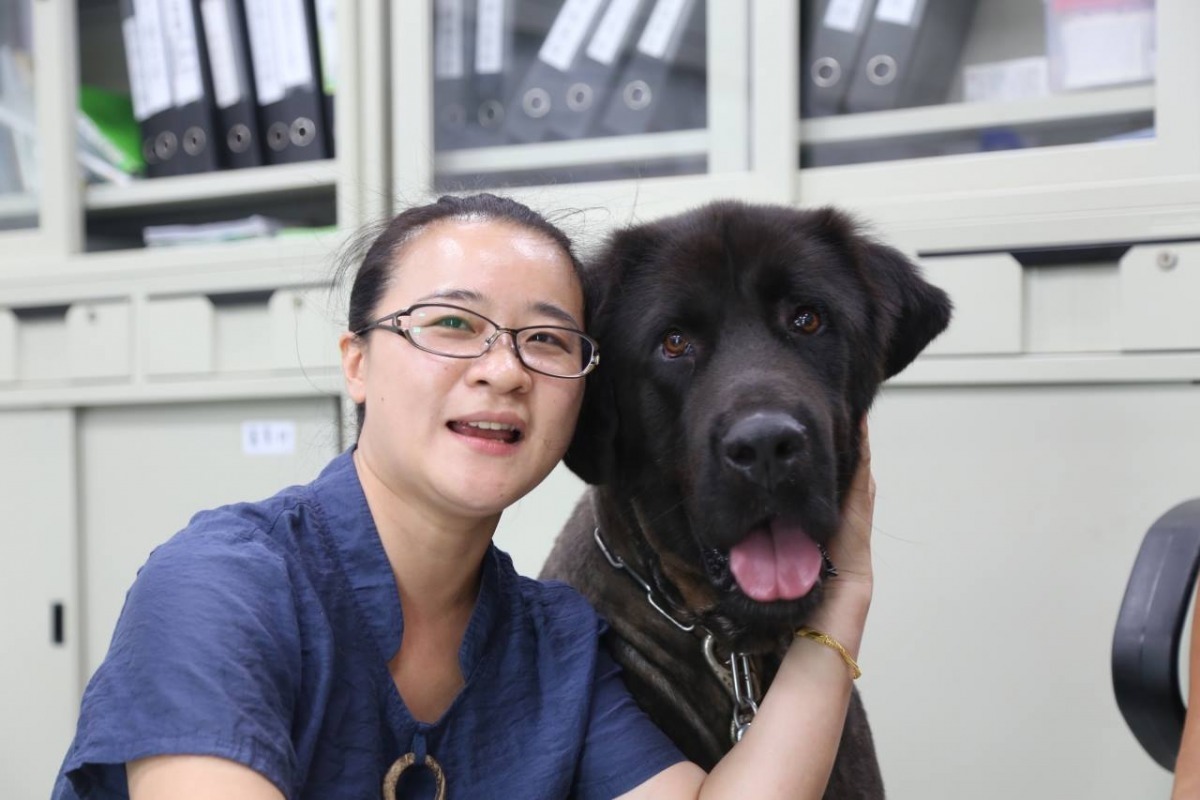 周椀棋說，靠近大摳ㄟ的時候不要有突然的舉動、動作也盡量不要太大，才不會引起牠的防衛心。　新北動保處/提供