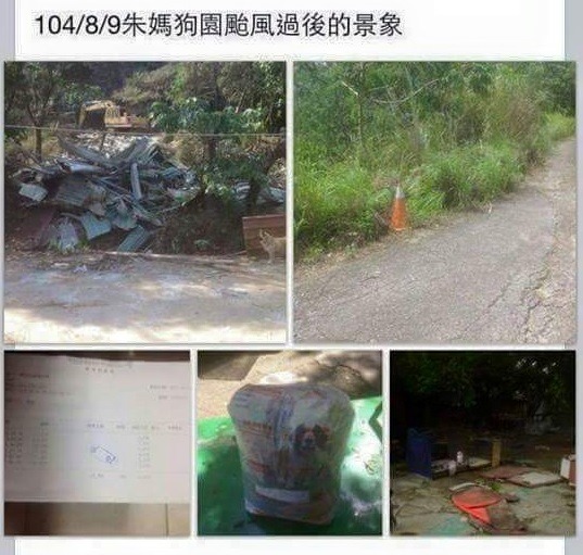 各地主辦人至少有3位,而每次的捐助對象也都不一定,8月22日將捐給仁武朱媽媽狗園。 楊尚義/提供