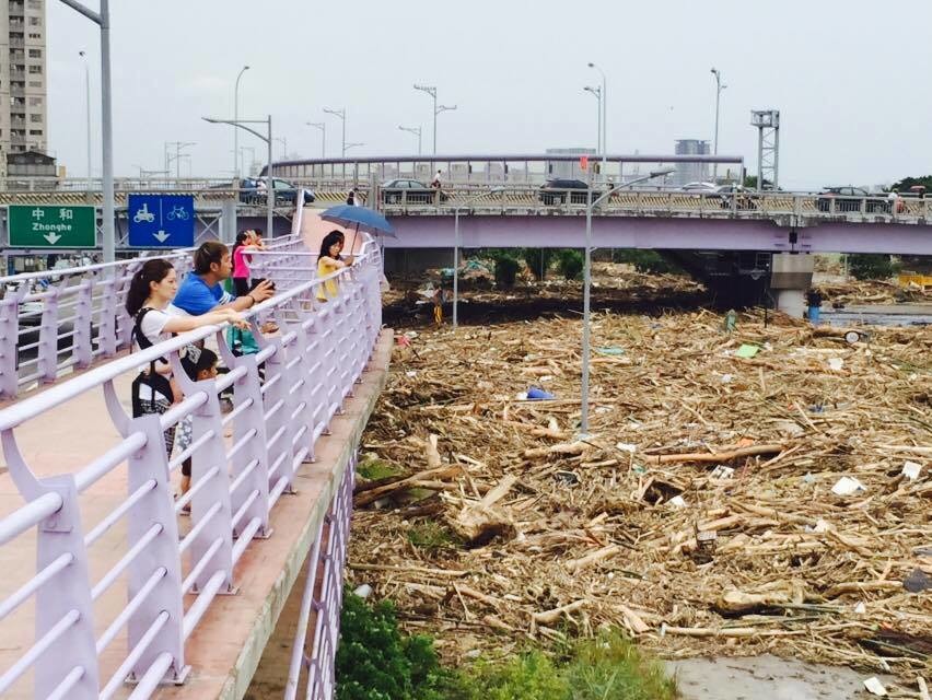 河濱地區除了滿地淤泥外,也堆積許多雜物,而平常能見得到的浪浪數量也少了很多。 取自永和河岸TNVR