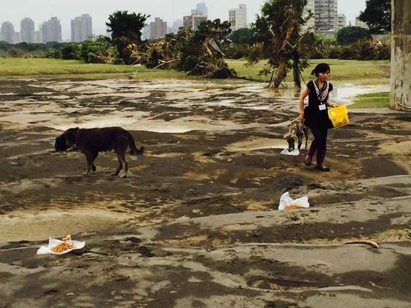 颱風過後,愛媽焦急到河濱巡視多天沒吃東西的浪浪們。 取自永和河岸TNVR