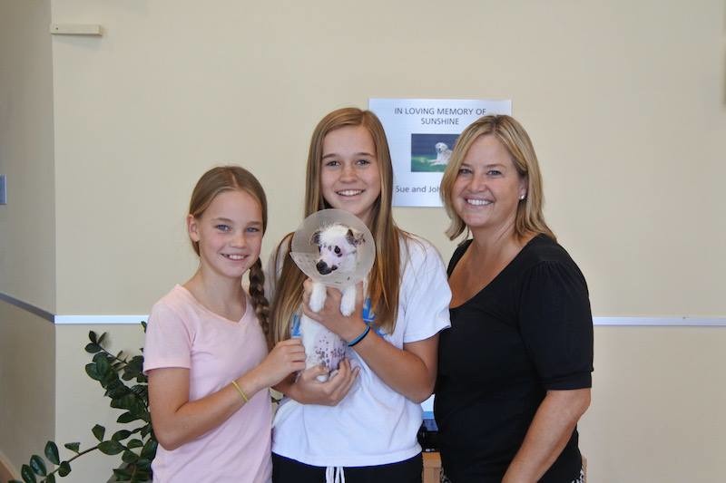 多博拉笑說第一時間沒有下定決心領養莉莎，回程途中兩個女兒嚇壞了，一直擔心莉莎被其他人領養走。　取自Christine Doblar臉書