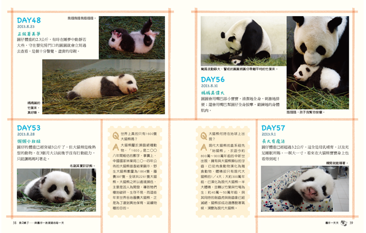 書籍其中一個單元詳細紀錄了圓仔從剛出生到2歲大每一天的成長點滴！　好讀出版社/提供