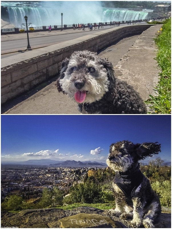 幸運的威利5年內去過的國家或許比許多人一輩子去過的還多！　翻攝自每日郵報