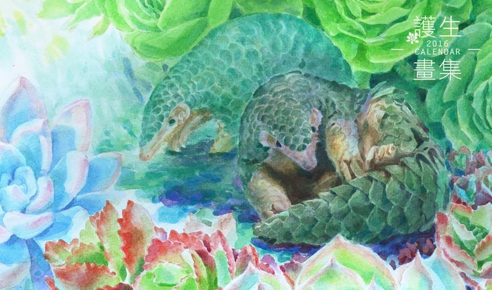 繪者想以護生畫集，將台灣特有種的生物，介紹給大家。透過公益掛曆，讓我們培養對野生動物的熟悉感，進而關心與珍惜這塊土地上的各種生物。　金品繪/提供