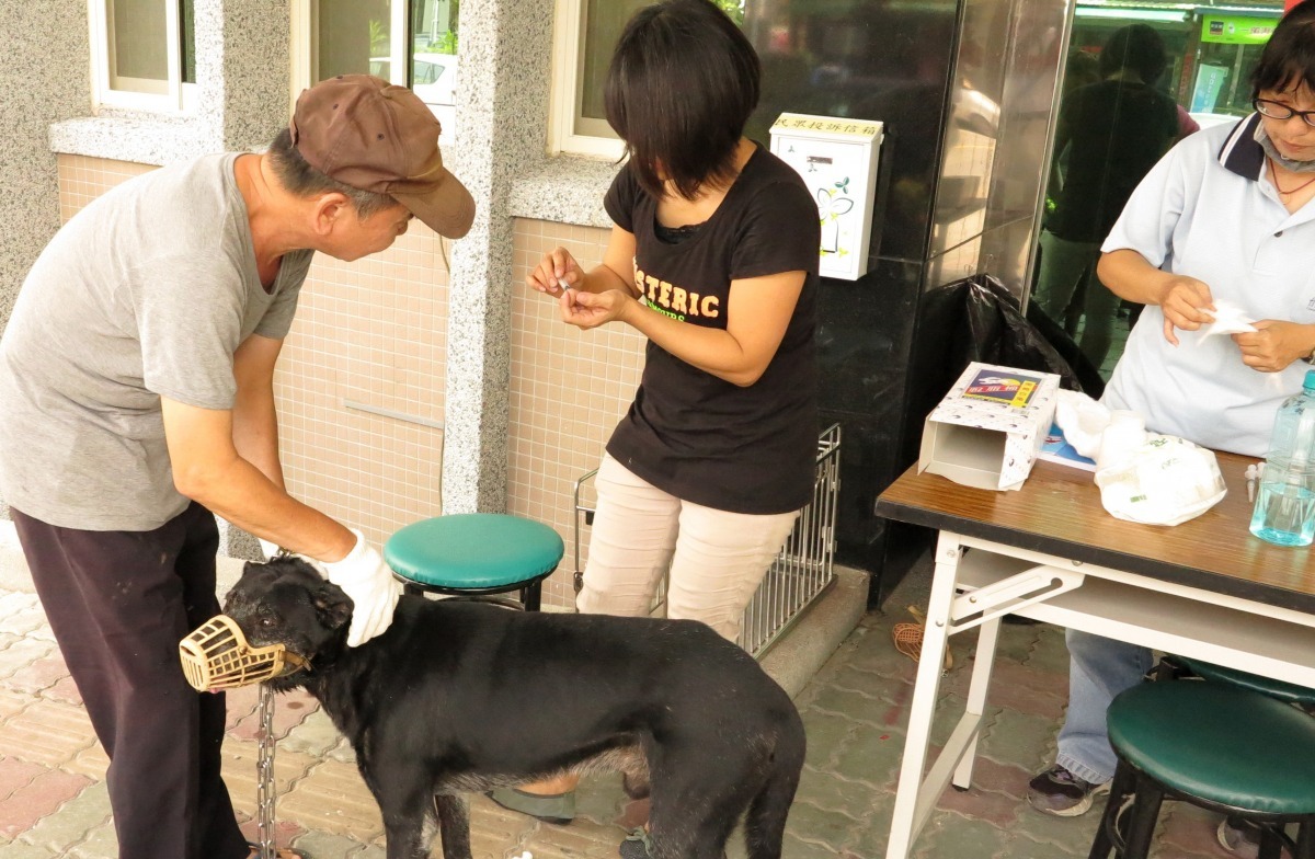 去年底墾丁確診一例白鼻心感染狂犬病,防檢局提醒民眾務必帶家中犬貓接種狂犬病疫苗,以防堵狂犬病。 蕭士塔/攝