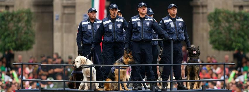警察不但是人民保母，也是四隻腳的動物同伴的守護者！　取自Policía Federal de México