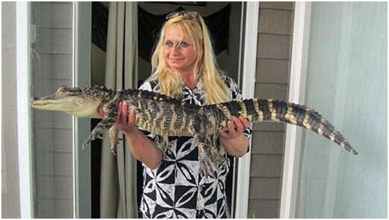 婦人羅葛林與她的寵物鱷。 取自網路