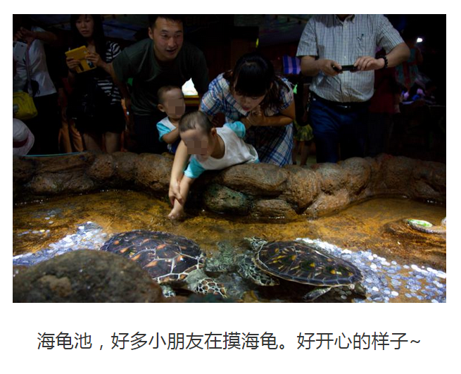 網路上找到的一篇去年寫的遊記，當時的海龜池就已經有許多錢幣，可見這個行為已經發生一段時間了！　翻攝自聖亞海洋世界