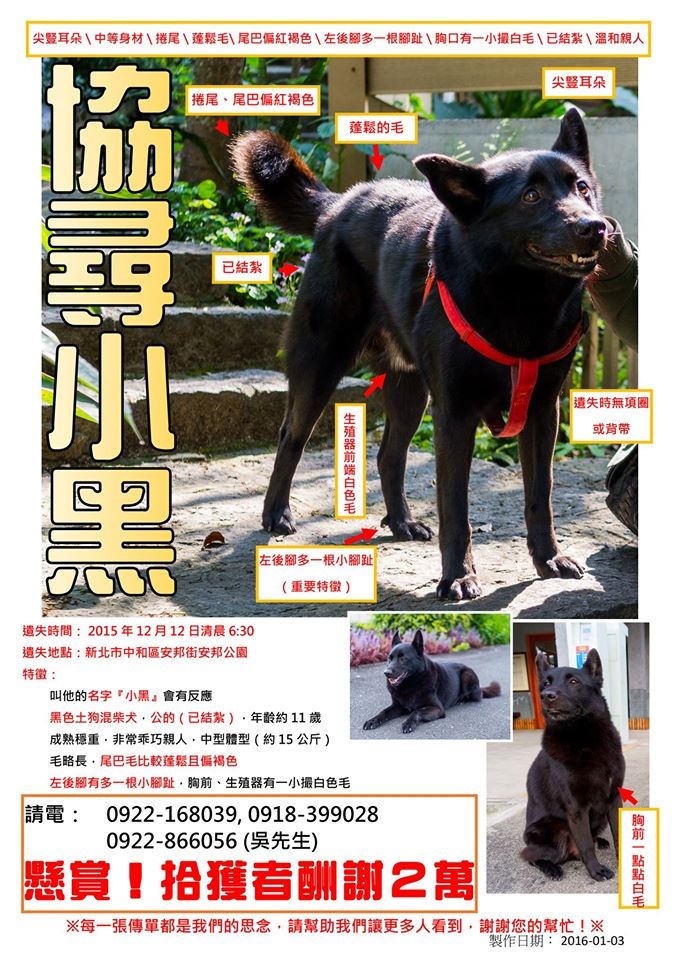 吳冠錂日前張貼傳單在公布欄遭民眾檢舉，讓他心力憔悴，但他也表示不會放棄尋找小黑。　吳冠錂/提供