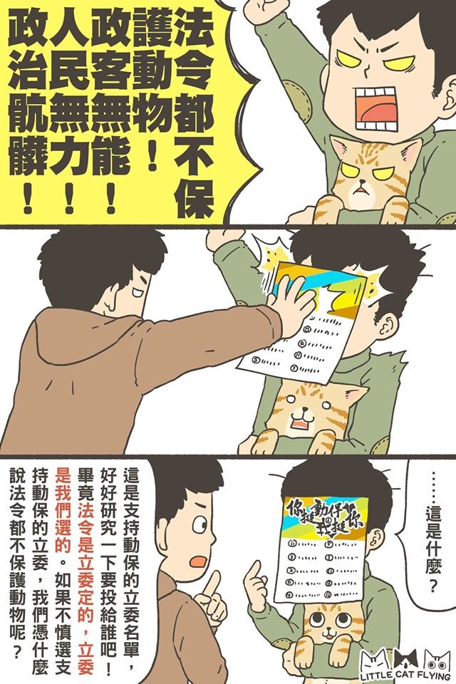 小咖飛 Little Cat Flying/提供