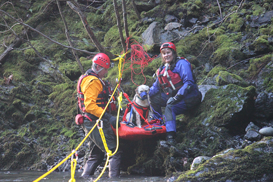 救援人員越過湍急的溪水,成功抓住狗狗並準備將牠帶回岸上。 取自Washington State Animal Response Team
