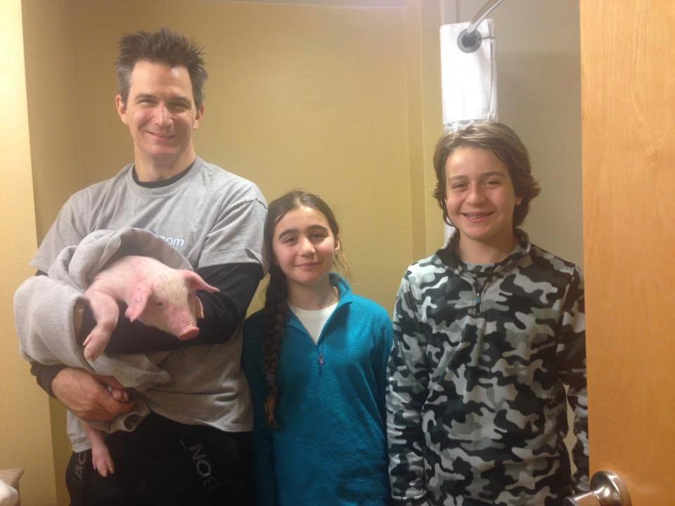 有愛心的一家人，願意伸出援手解救受困雪堆的小豬。　取自Sarah Pekkanen臉書