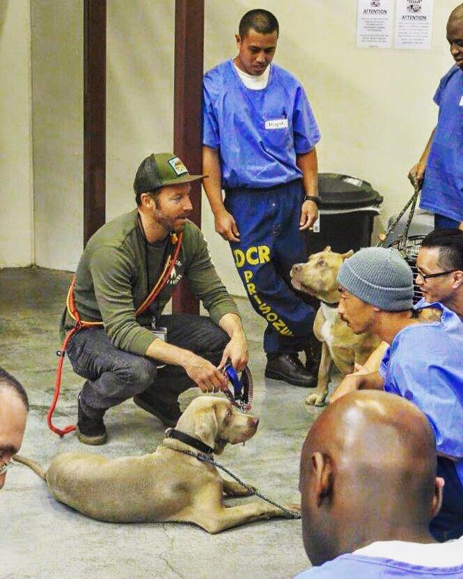 史考是馬利的米克斯創辦人，他到收容所挑選狗狗，送到矯正機構與受刑人一同訓練。   取自Marley's Mutts Dog Rescue