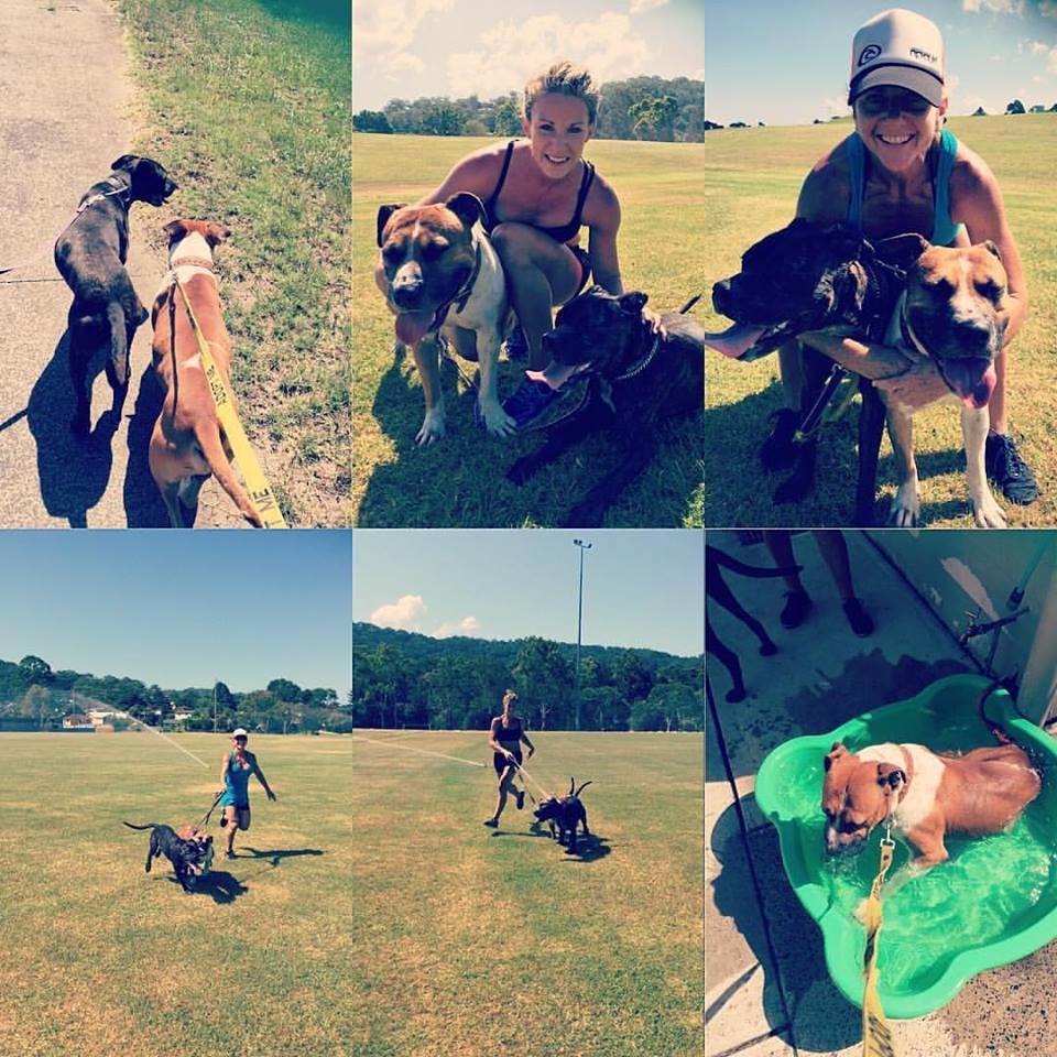 澳洲健身教練想出一套聰明的雙贏課程,讓學員從收容所借狗出來一起遛狗兼運動! 取自Rescue Your Fitness