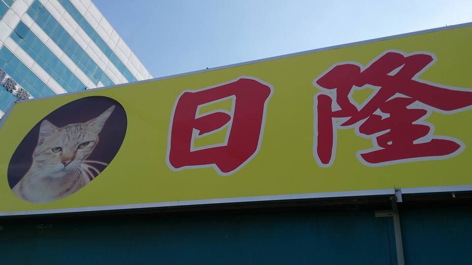 早餐店的店貓也被印在招牌上，看到眼神充滿霸氣的貓咪，所有貓奴應該都會衝進店裡消費。   翻攝自Minnie Pan