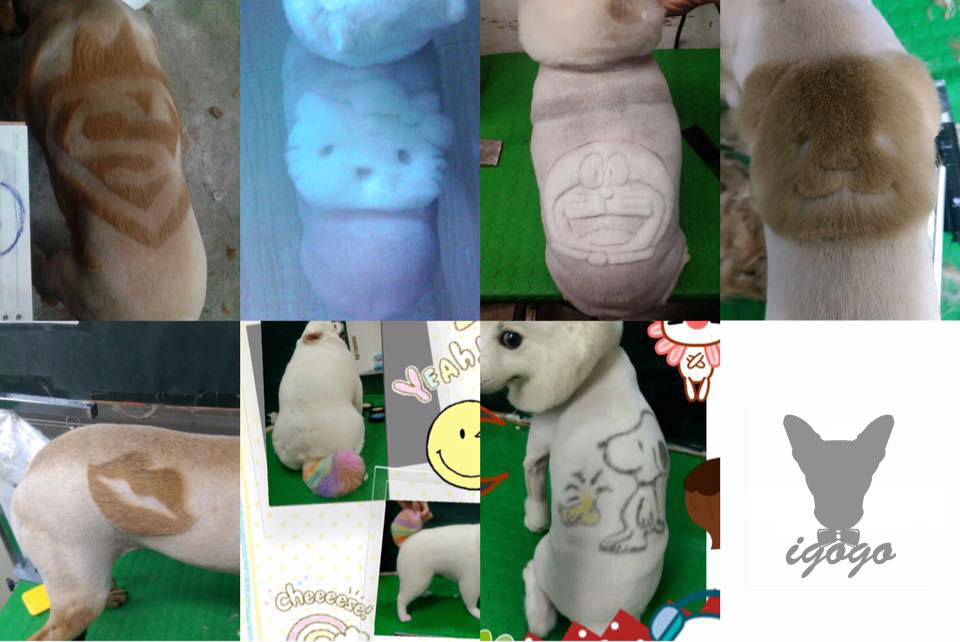 這些是阿May以前的造型作品，都是透過自己慢慢練習、自學而成。   取自Igogo寵物沙龍