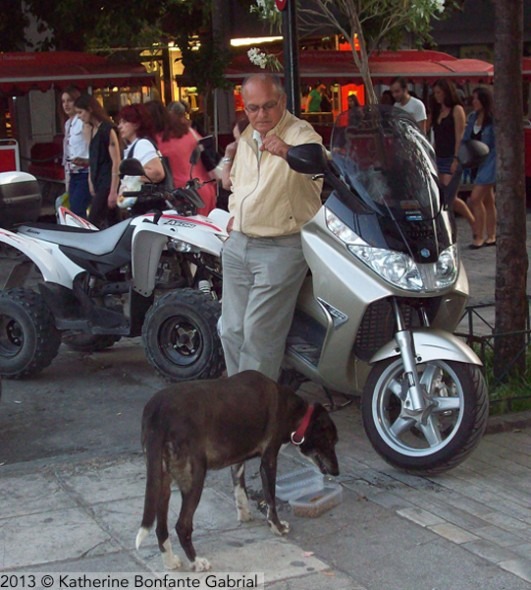 希臘的流浪狗數量眾多，當地民眾會一同照顧。　取自Life With Dogs
