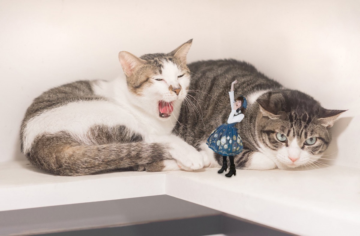 將保護地球的行動潛移默化到日常生活中，是友善星球協會希望做到的事。　取自貓蘿記臉書