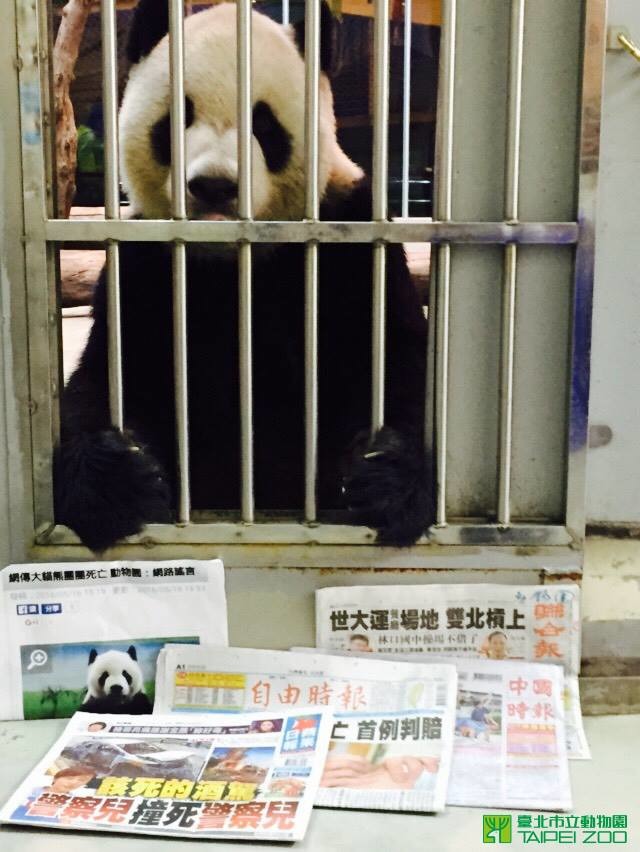 台北動物園發照片澄清,結果被網友笑稱好像綁匪拍照證明人質安在。 取自台北動物園