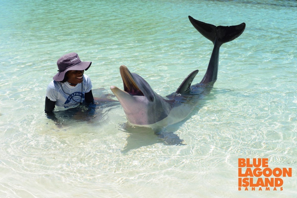 世界各地近十年來有很多地方都標榜能跟海豚親密接觸、甚至一起游泳,不過許多保育海豚的人士強烈譴責不該圈養海豚! 取自Dolphin Encounters