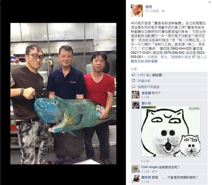 記者今日也於網路上看見網友轉貼又有台中餐廳疑似非法販售蘇眉魚。　取自臉書