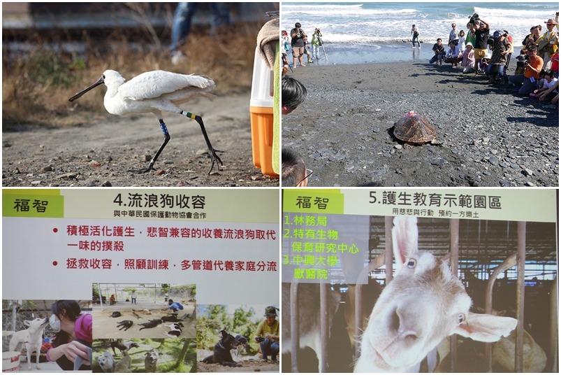 除了野放野生動物外，宗教團體也在林務局指導下打造護生園區，並非以收容為目的、而是以教育為主。　(上圖左右)福智基金會提供、(下圖左右)何宜/翻攝
