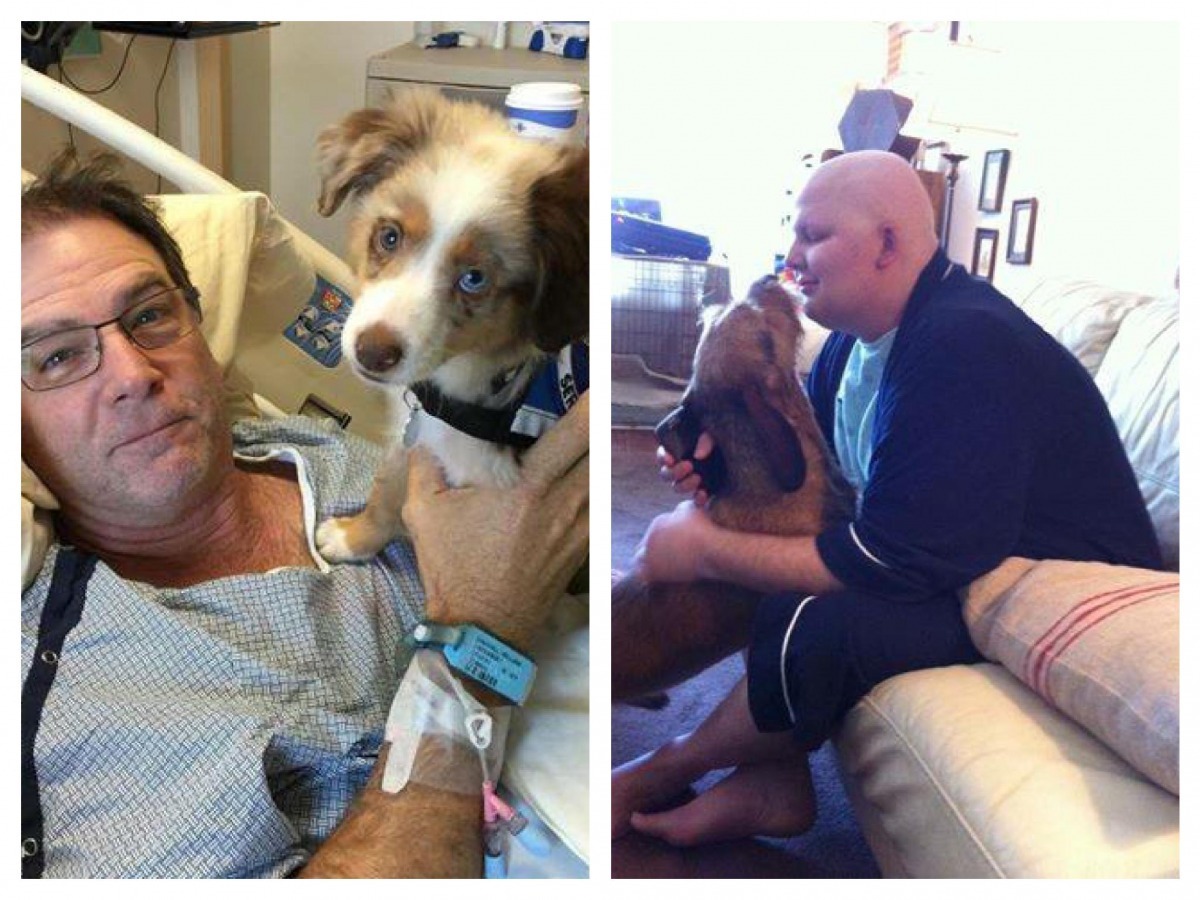 計畫推行以來，已經有無數的貓狗到醫院探望過主人。右圖為扎卡里與雀斯。   取自Zachary’s Paws for Healing