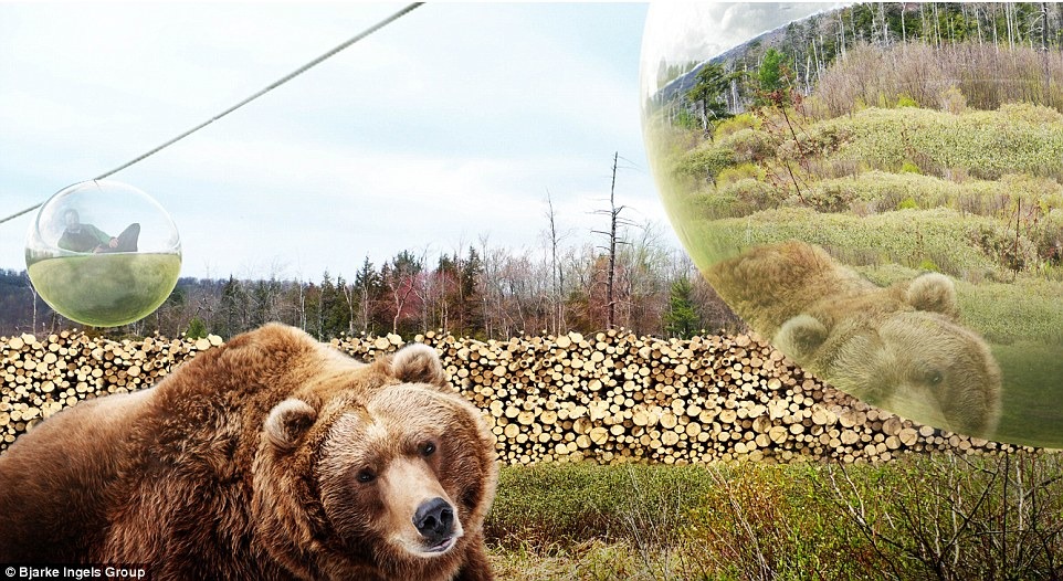 動物還是可以在原始自然中活動,不會受人類影響。 取自網路