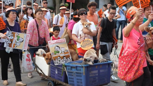 澳門民眾2015年時曾為了動物保護法上街遊行，而日前動保法終於正式上路。   取自愛瞞日報