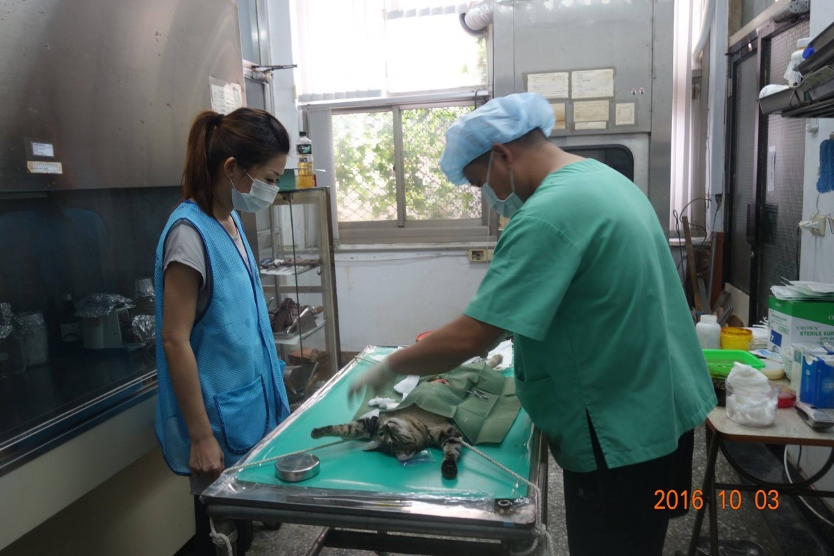 澎湖每年縣府都會自行編列預算，補助家犬貓絕育，配合農委會推動的三合一，希望讓流浪貓狗數量減少。　取自澎湖縣家畜疾病防治所-烏崁流浪動物收容中心