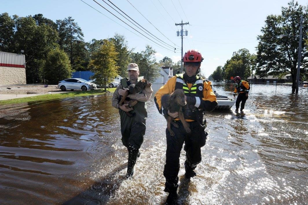 救難人員英勇的模樣深植人心！　　取自FEMA Federal Emergency Management Agency