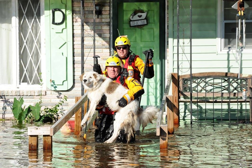看看傑克被救難人員抱出來的時候，笑得有多開心。　取自FEMA Federal Emergency Management Agency