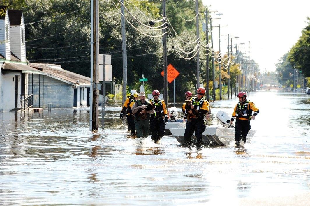 救難人員挺進災區尋找被遺留在當地的人與動物。　取自FEMA Federal Emergency Management Agency