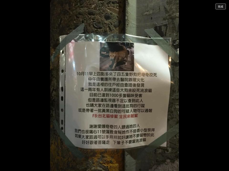 近日在台北各區都發生貓咪傷亡事件，志工懷疑有集團操控獵犬所為。　　取自台北貓慘案 全民來報案