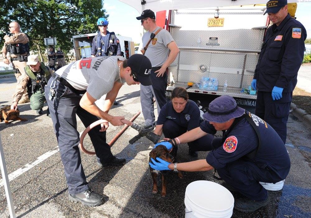 「幫你吹乾，不要怕喔！」 取自FEMA Federal Emergency Management Agency