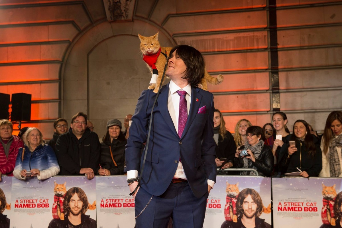 真實世界裡頭的詹姆士伯恩,與Bob出席英國電影的首映會,而Bob一如以往的站在詹姆士的肩膀上。 取自A Streetcat Named Bob