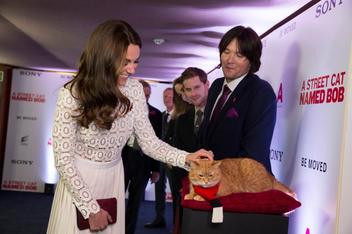 在《遇見街貓BOB》英國首映會上,凱特王妃(Kate Middleton)也與詹姆士及其他演員一同出席,也為協助毒品與酒精成癮者的慈善機構「Action on Addiction」宣傳。 取自A Streetcat Named Bob