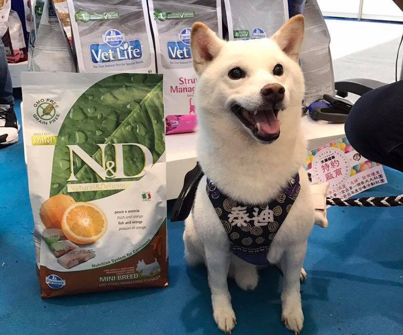 你聽過來自義大利原裝進口的寵物飼料嗎？法米納是第一家引進台灣的義大利品牌喔！　取自法米納天然糧 Farmina 聯信寵物