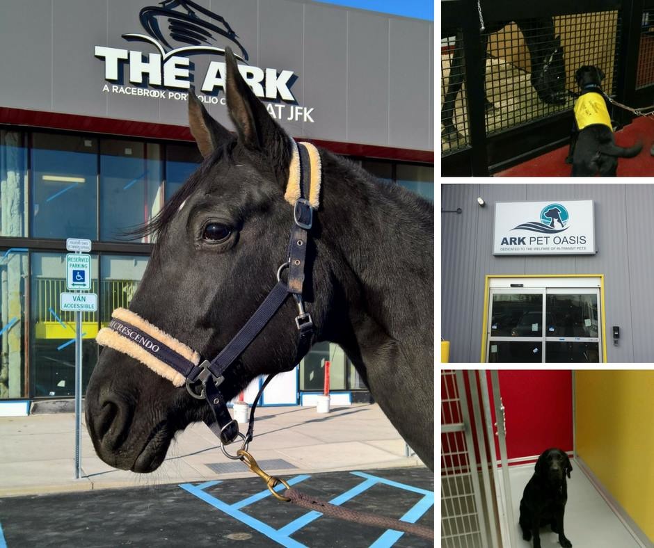 美國紐約的甘迺迪機場，耗時3年打造動物專屬航廈，已於本月正式啟用。　取自The ARK at JFK