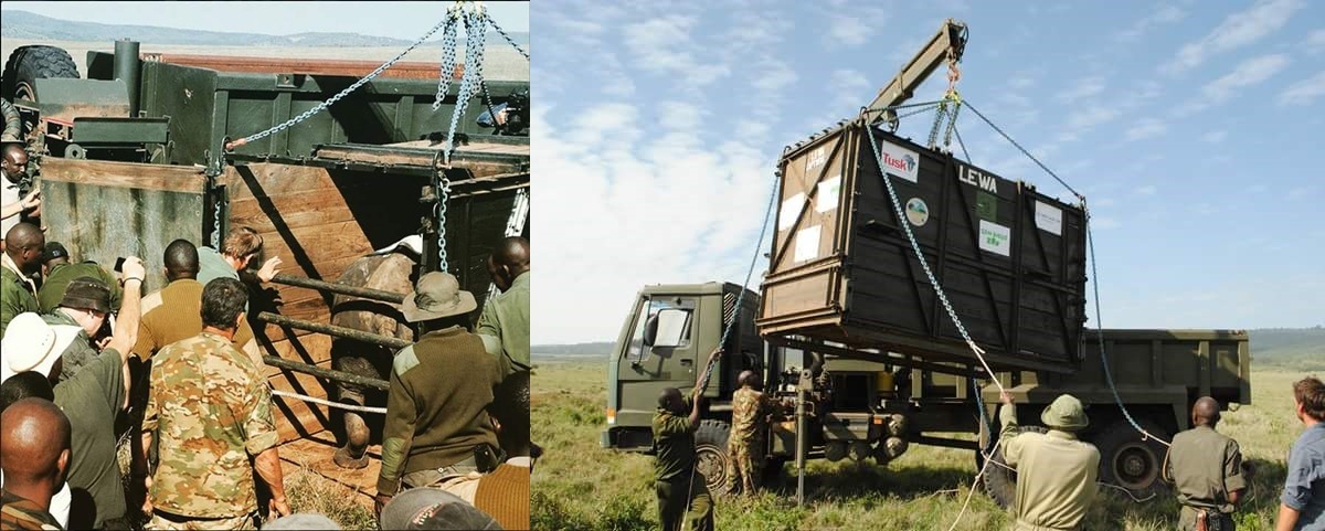 取自Lewa Wildlife Conservancy FB