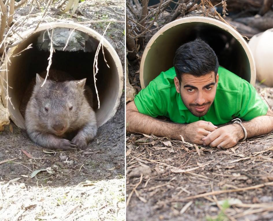 「隔壁穿綠衣那傢伙是不是有點太胖了？」　取自Peel Zoo FB