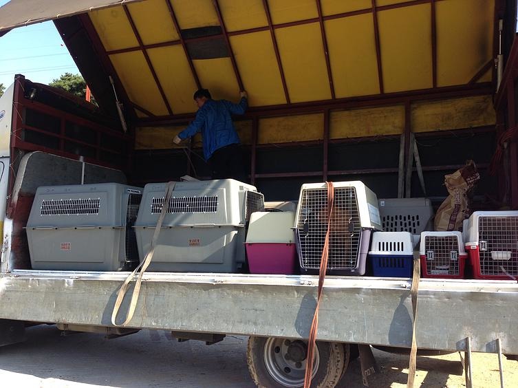 業者簽下具有法律約束的合約，未來不會再從事相關行業，也會幫忙說服其他同業一起轉型。　取自Change For Animals Foundation