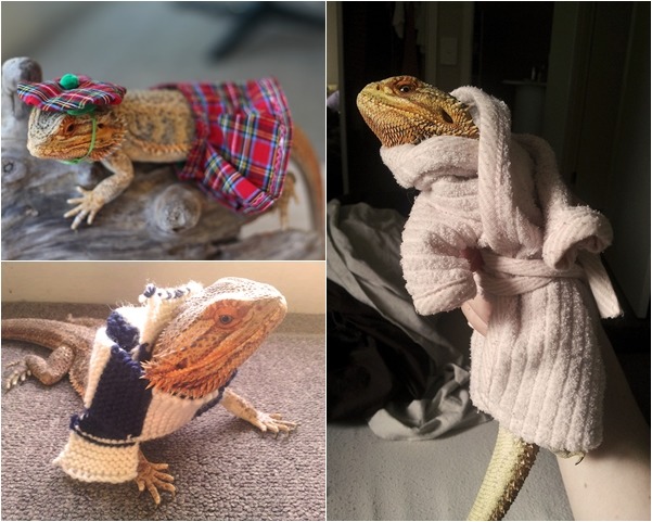 身為帥哥的第一步，就是要好好打扮！連穿浴衣都要帥死人！　取自tumblr