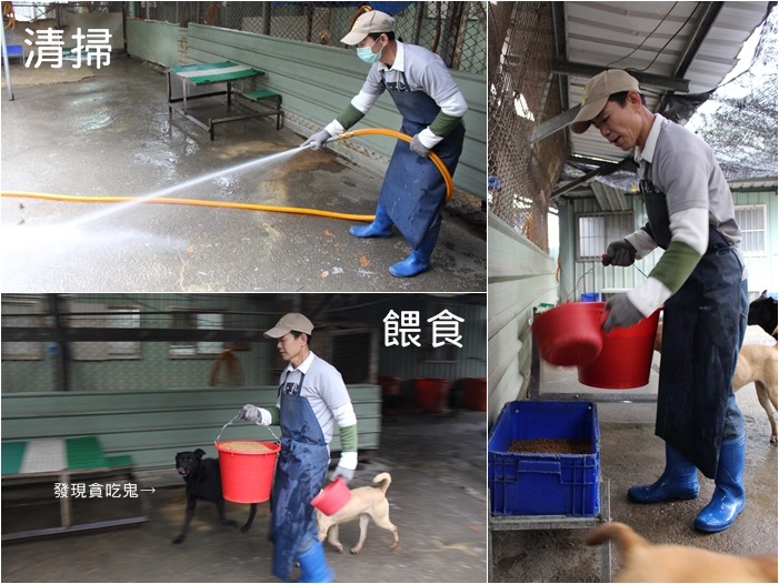 每天的例行工作,一年365天沒有間斷過。 何宜/攝