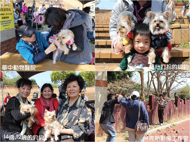活動現場有許多帶著自家寵愛的約約到現場的飼主，還有動物醫院獸醫提供正確保健觀念、影像工作室幫忙大家留下珍貴照片等等。　董為劭、何宜/攝